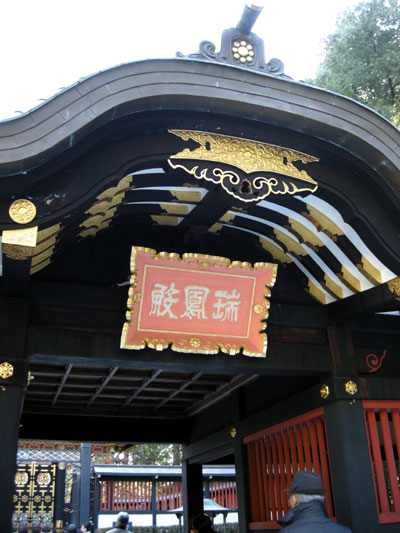 DSCN0254.jpg