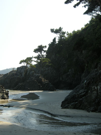 DSCN1109.jpg