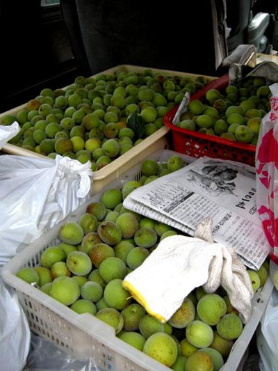 DSCN5077.jpg