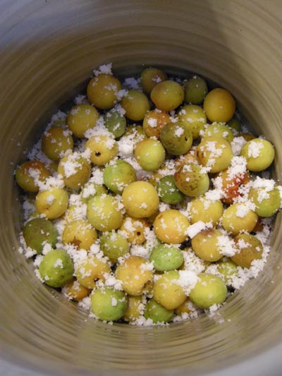 DSCN5128.jpg