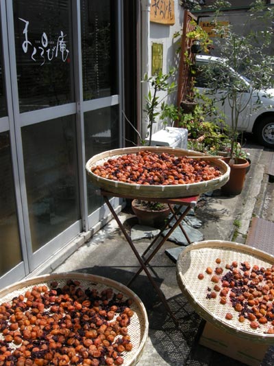 DSCN5369.jpg