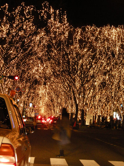 DSCN8940.jpg