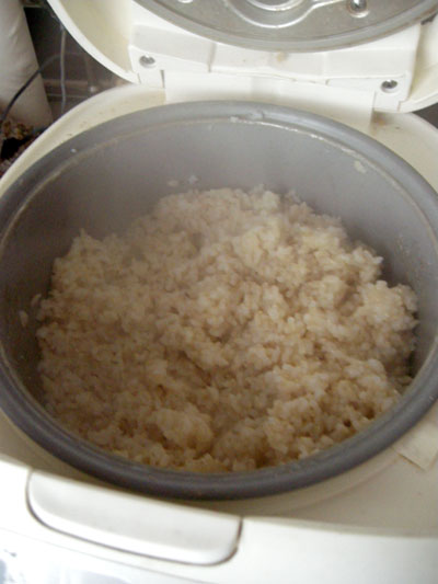 DSCN9029.jpg